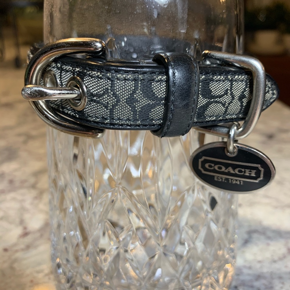 Coach Pet Collar